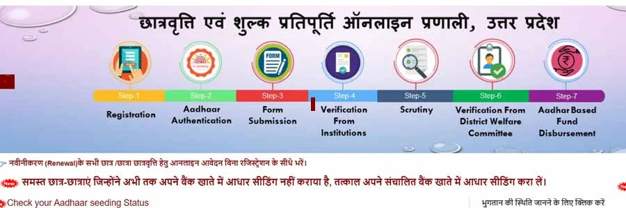 Up Scholarship 2025